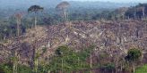 Zlatokopové v Amazonii brutálně pozabíjeli Indiány