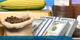 Zlato trhá rekordy a kakao dělá z investorů milionáře. Jak využít komoditní boom?