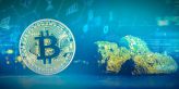 Zlato a Bitcoin se v roce 2020 ukázaly být zatím nejvýnosnějšími aktivy