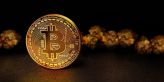 „Bitcoin je mnohem lepším uchovatelem hodnoty než zlato!“